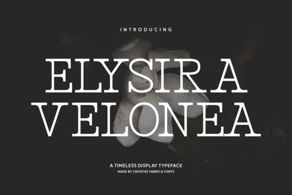 Elysira Velonea: Timeless Serif Typeface for Web Design