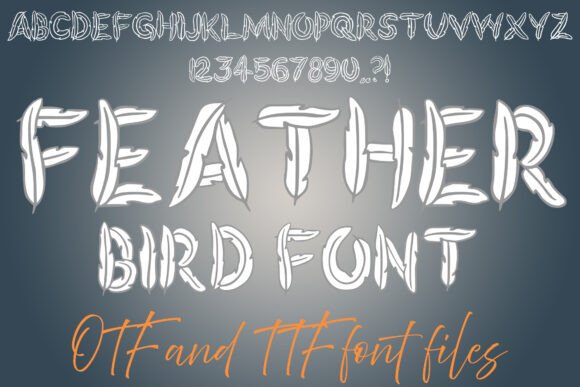 Feather Bird Typeface for Whimsical Branding