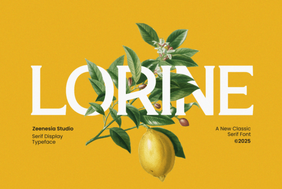 Lorine Serif Font for Elegant Web Design