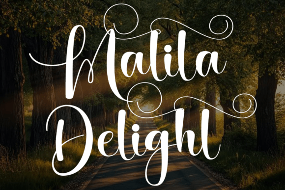 Malila Delight Font: Elevate Your Campaign Visuals