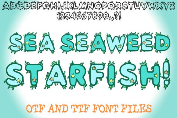 Sea Seaweed Starfish Display Font for Digital Campaigns